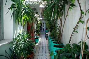 Гостиница Pagration Youth Hostel  Афины